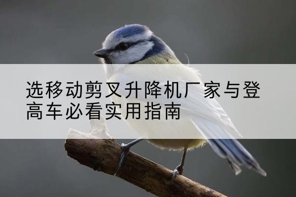 白塔电动升降机厂家-选移动剪叉升降机厂家与登高车必看实用指南