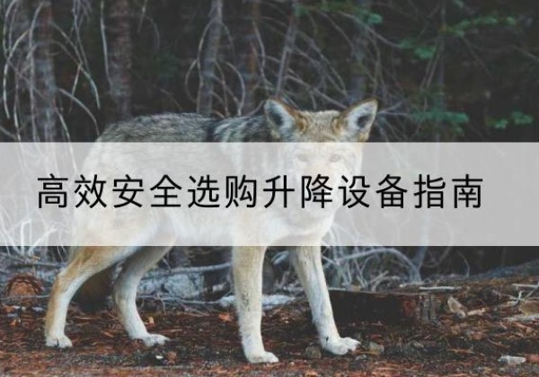白塔升降货梯厂家推荐-*安全选购升降设备指南